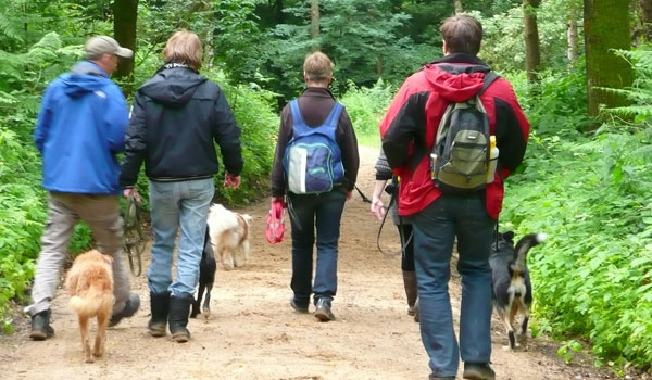 Wald-Lernspaziergang mit Hundetrainer Gerwin Jeltsch Lernspaziergang in der Hundeschule Zufriedene Hunde