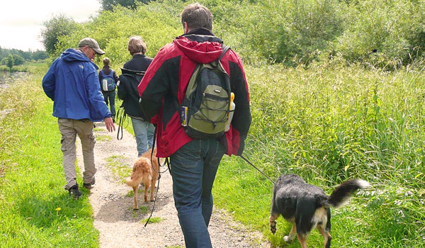 Lernspaziergang mit Hundetrainer Gerwin Jeltsch Lernspaziergang in der Hundeschule Zufriedene Hunde