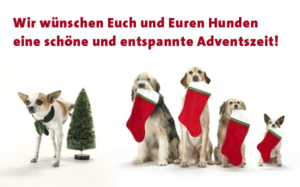 Advent in der Hundeschule Zufriedene Hunde