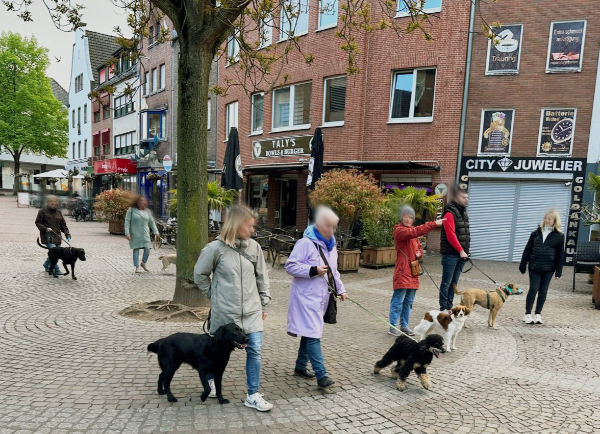 Stadt Lernspaziergang Kleve Stadt Lernspaziergang in Kleve Hundeschule Zufriedene Hunde