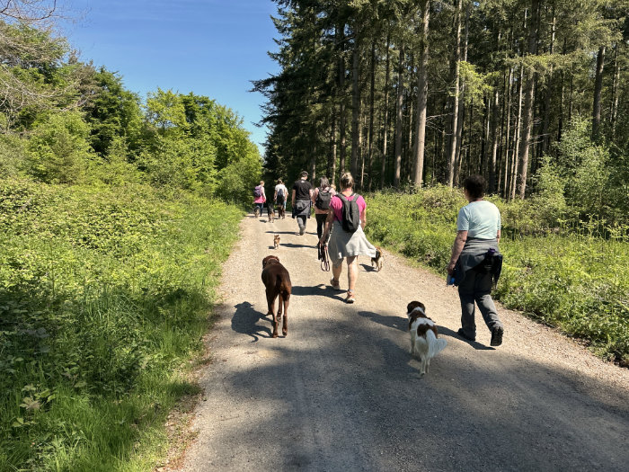 Hundewanderung Zufriedene Hunde 2025 Hundewanderung Zufriedene Hunde in Kleve