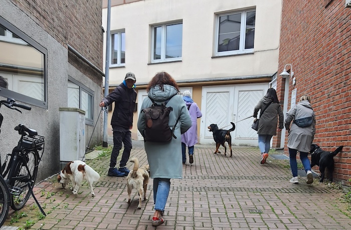 Alltagstraining mit Hund in Kleve in der Hundeschule Zufriedene Hunde