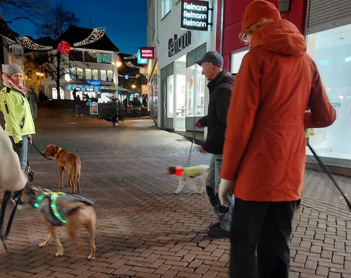 Zufriedene Hunde Lernspaziergang bei Dunkelheit Zufriedene Hunde Lernspaziergang bei Dunkelheit in Kleve